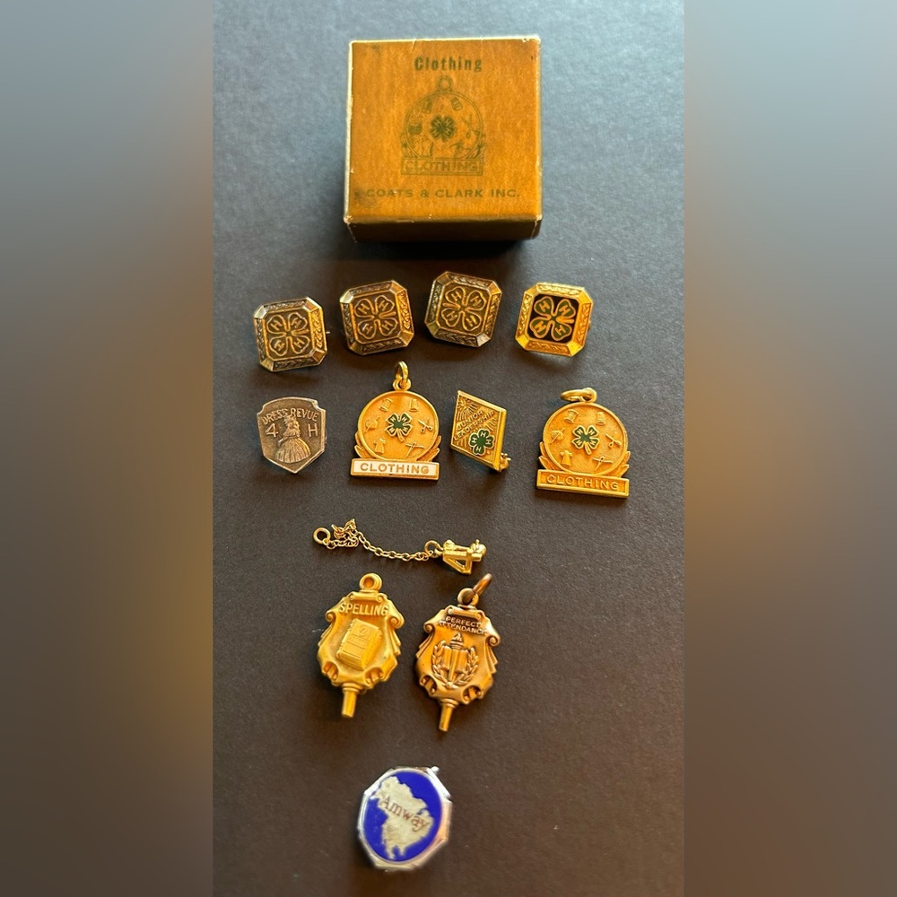 4H, academic pins- vintage. 4H pin Box - Picture 3 of 9